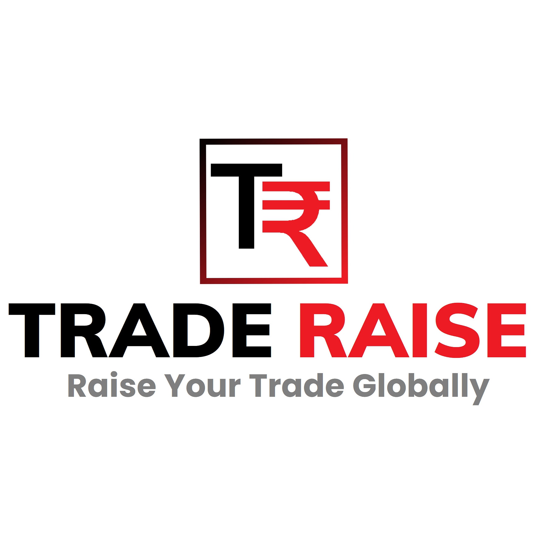Best Astrologers Trade Raise Private limited