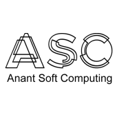 Best Web designers Anant Soft Computing